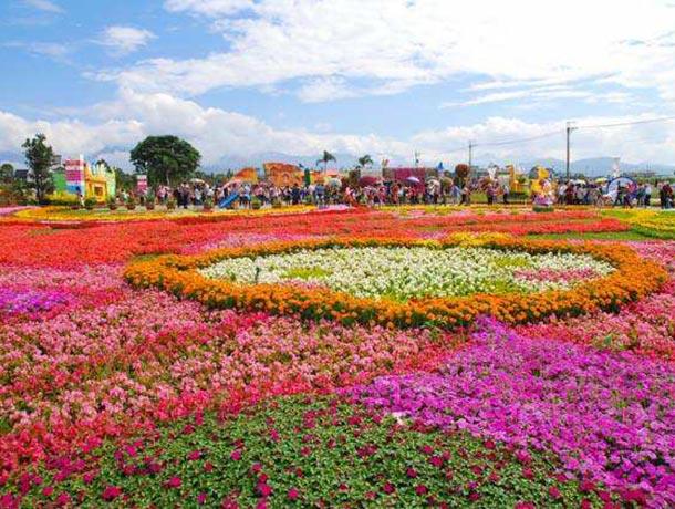 花海基地的介绍